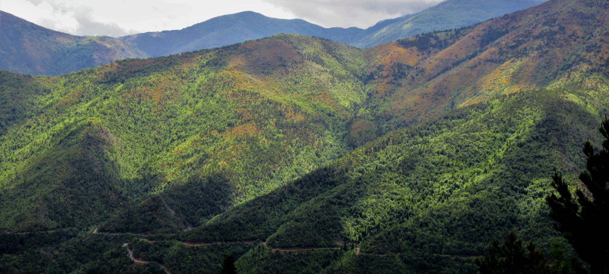 Cycling Tours Albania